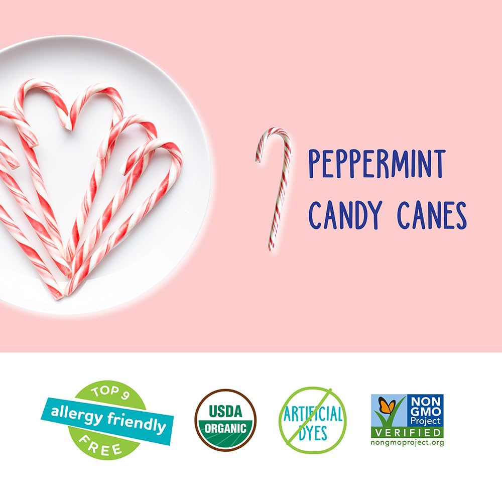 YumEarth Organic Peppermint Candy Canes, 10 Count